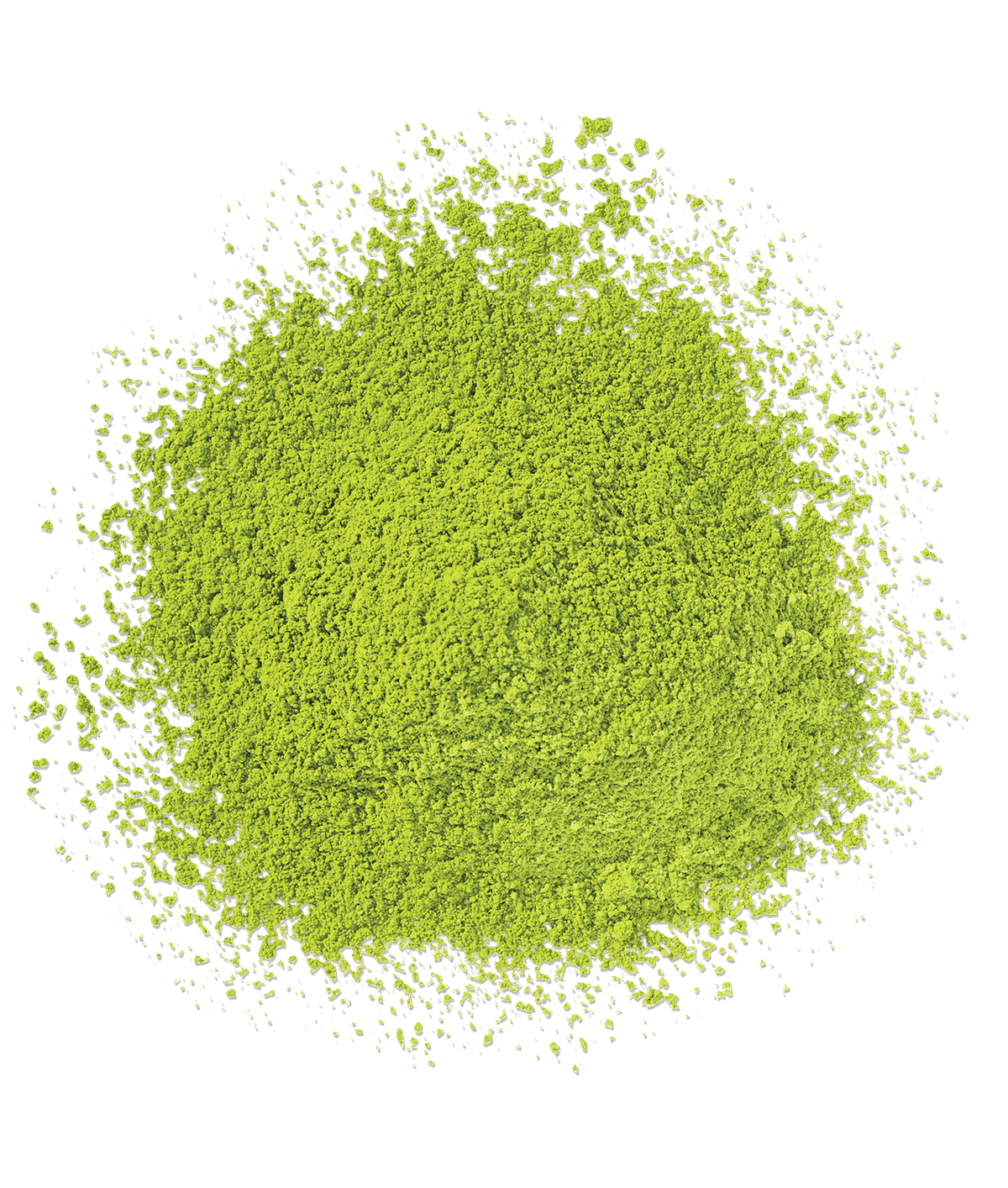 Organic Matcha