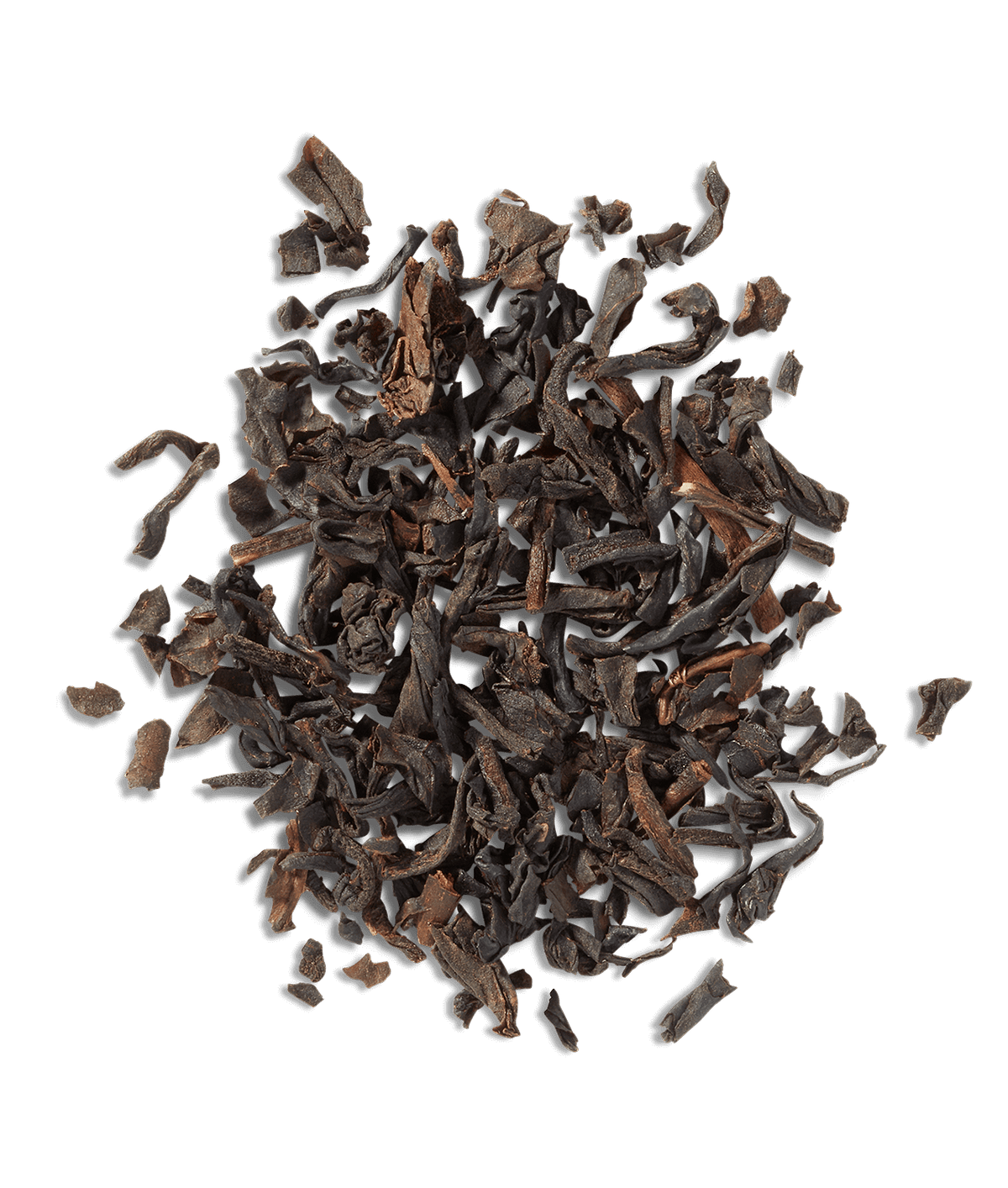Vanilla Bean