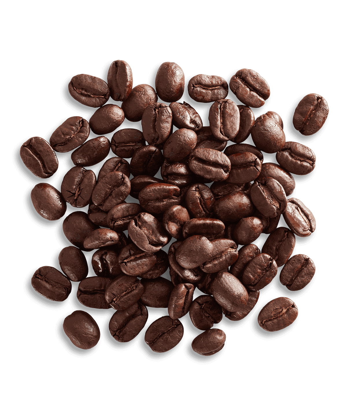Nicaragua Angelina Estate